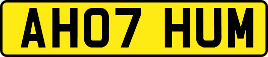 AH07HUM