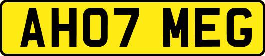 AH07MEG