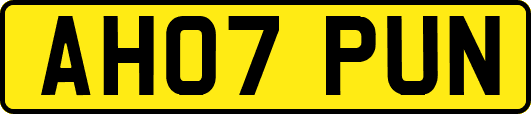 AH07PUN