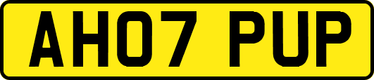AH07PUP