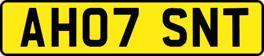 AH07SNT