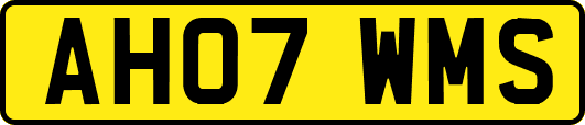AH07WMS