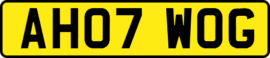 AH07WOG