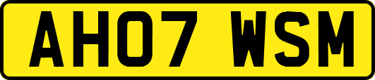 AH07WSM