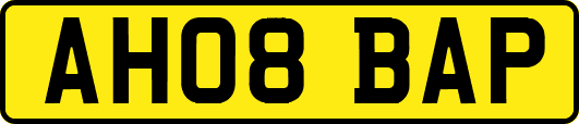 AH08BAP