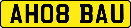 AH08BAU