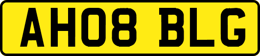 AH08BLG