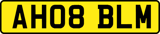 AH08BLM