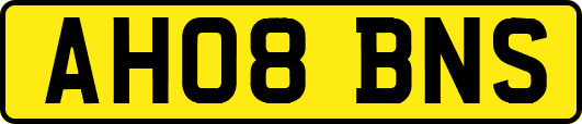 AH08BNS
