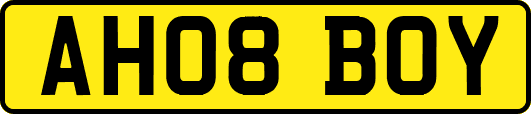 AH08BOY