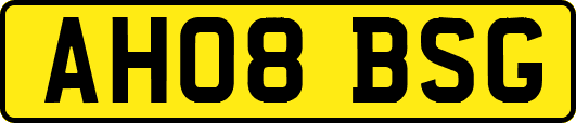 AH08BSG