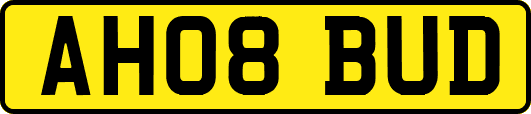 AH08BUD