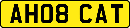 AH08CAT