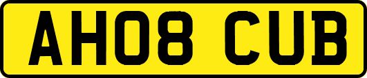 AH08CUB