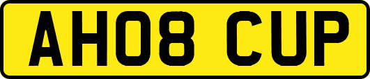 AH08CUP