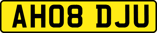 AH08DJU