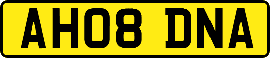 AH08DNA