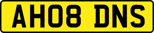 AH08DNS