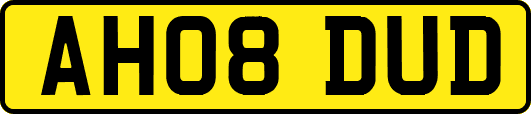 AH08DUD
