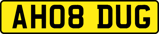 AH08DUG