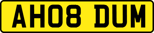 AH08DUM