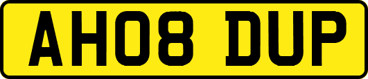 AH08DUP