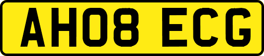 AH08ECG