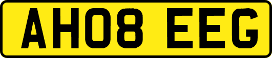 AH08EEG
