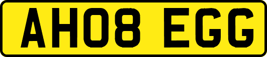 AH08EGG