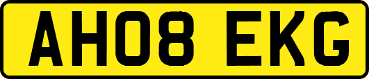 AH08EKG