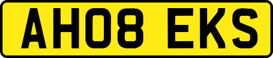 AH08EKS