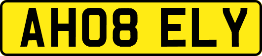 AH08ELY