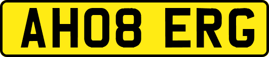 AH08ERG