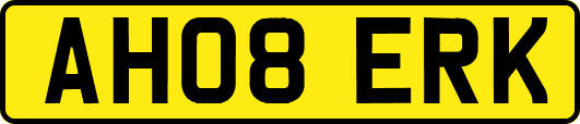 AH08ERK