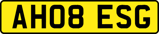 AH08ESG
