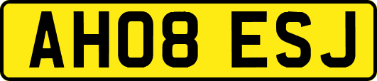 AH08ESJ