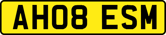AH08ESM