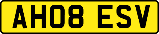 AH08ESV