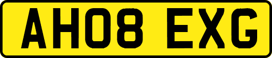AH08EXG