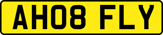 AH08FLY