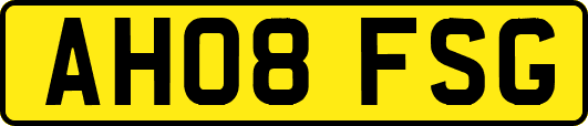 AH08FSG
