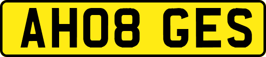 AH08GES