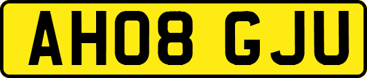 AH08GJU