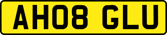 AH08GLU