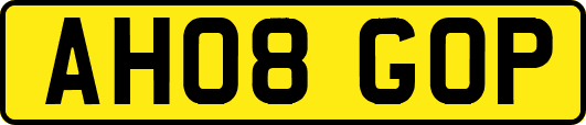 AH08GOP