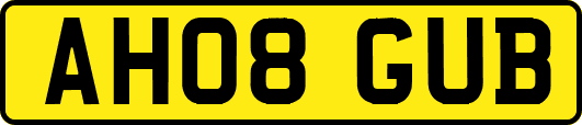 AH08GUB