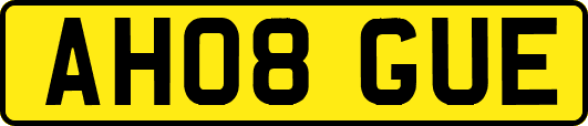 AH08GUE