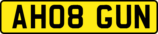 AH08GUN