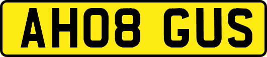 AH08GUS