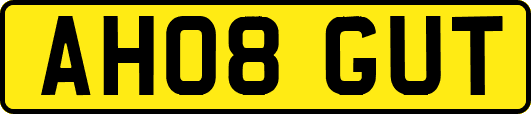 AH08GUT